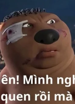 100+ Meme nghèo hài hước, dở khóc dở cười cho dân mạng - Homepage featured post