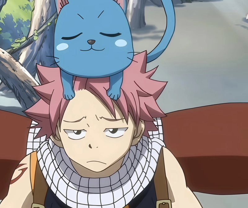 Ảnh Natsu Dragneel khí chất chiến đấu đẹp