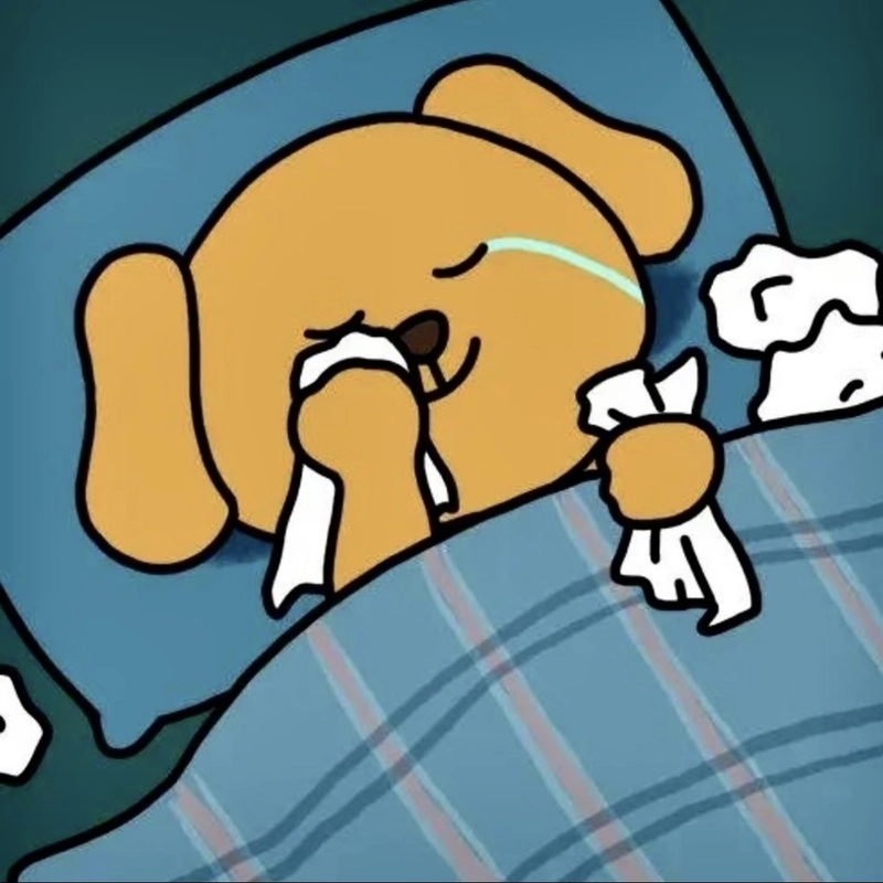 Ảnh chế sad meme mang nét bất lực hài hước