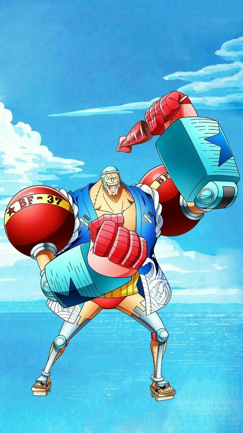 Dáng vẻ Franky với phong cách mạnh mẽ cuốn hút