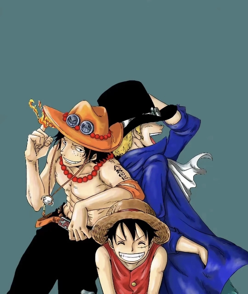 Hình ảnh One Piece phong cách chiến đấu