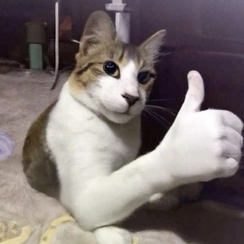 Ảnh meme OK cùng nét mặt bình thản khó đoán