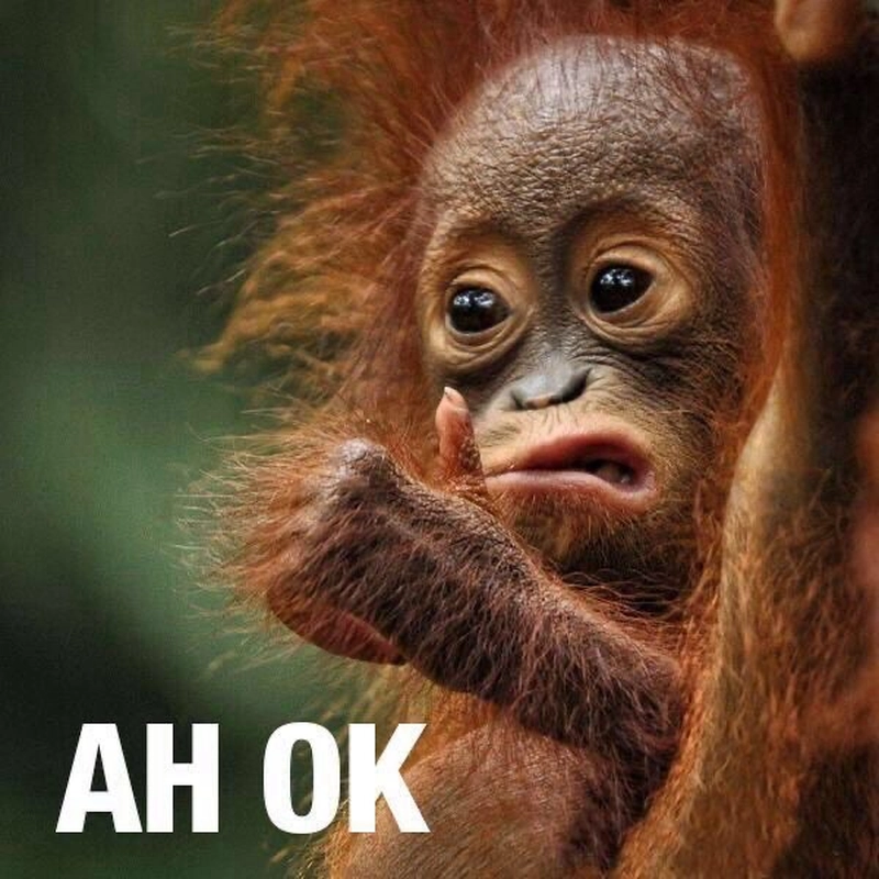 Ảnh meme OK cùng nét mặt bình tĩnh vui nhộn