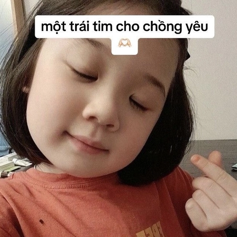 Bức ảnh meme an ủi với câu chữ hài hước khó đỡ
