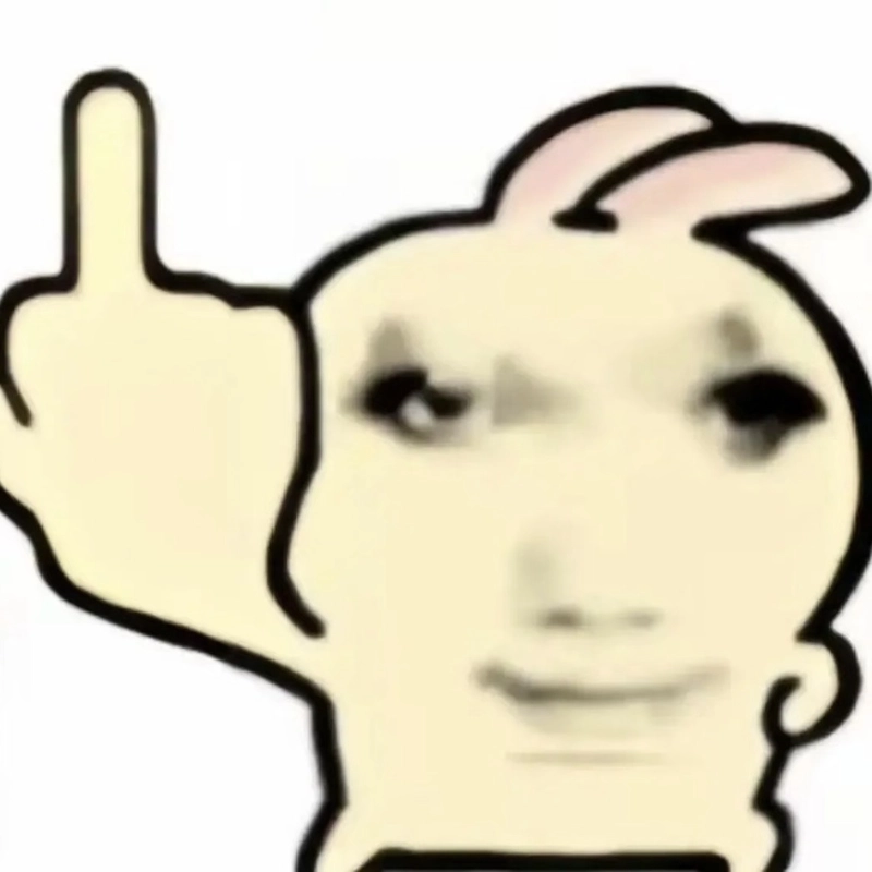 Bức ảnh meme fuck you mang không khí hài hước