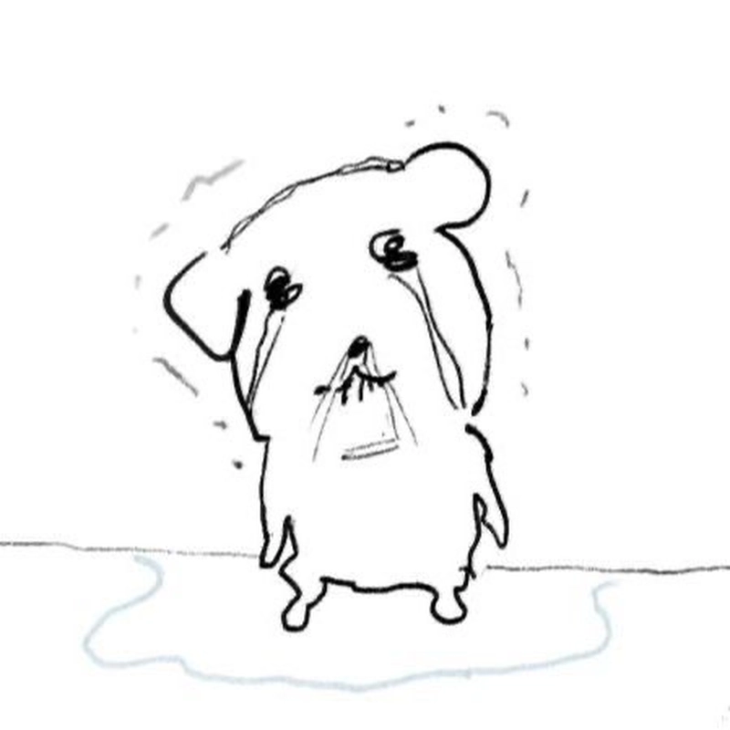 Bức hình meme thất vọng với phản ứng bất lực quen thuộc