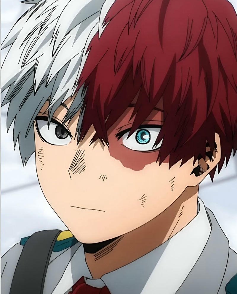 Diện mạo Shoto Todoroki phong cách anime đẹp