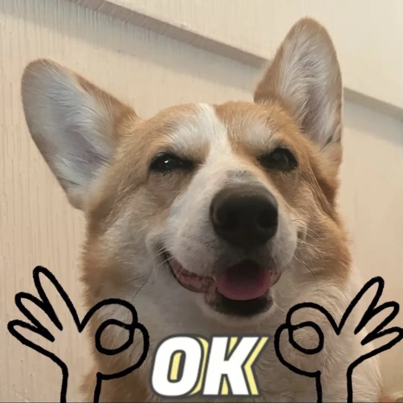 Hình ảnh meme OK mang phong cách giải trí nhẹ nhàng