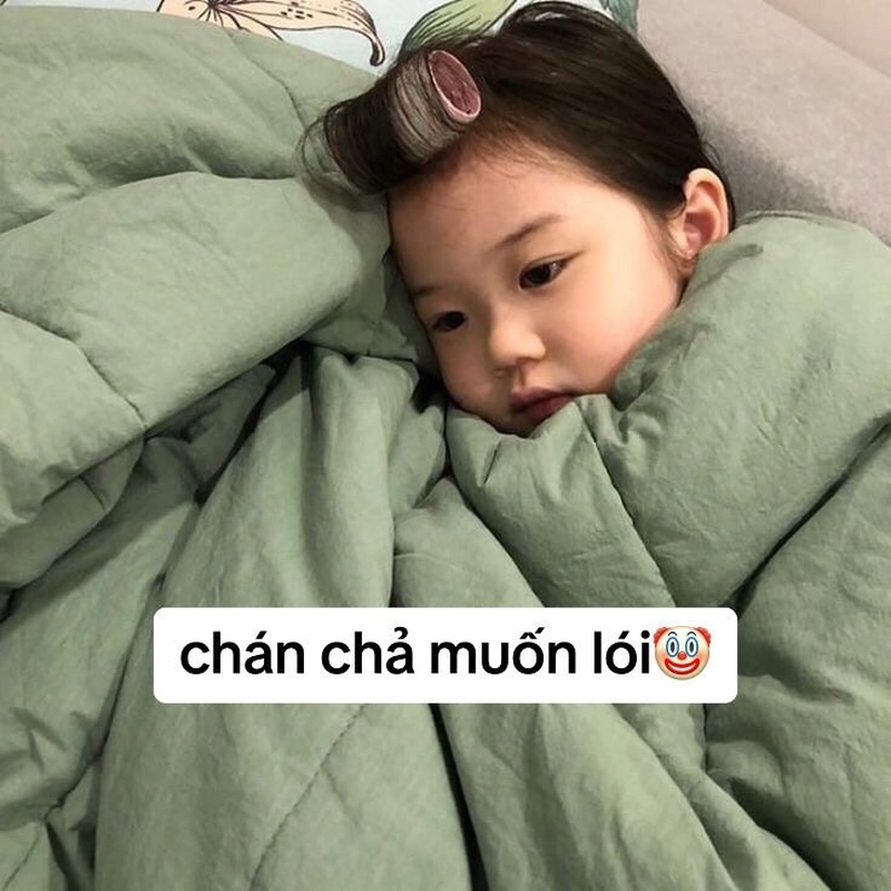 Hình ảnh meme an ủi cùng lời nhắn chọc cười nhẹ