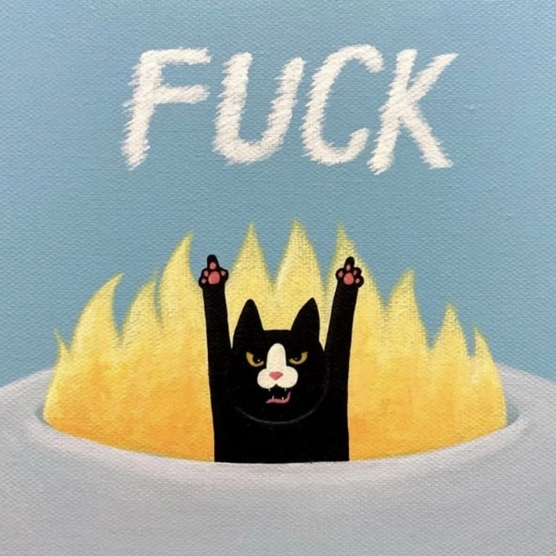 Hình ảnh meme fuck you mang cảm xúc bất mãn