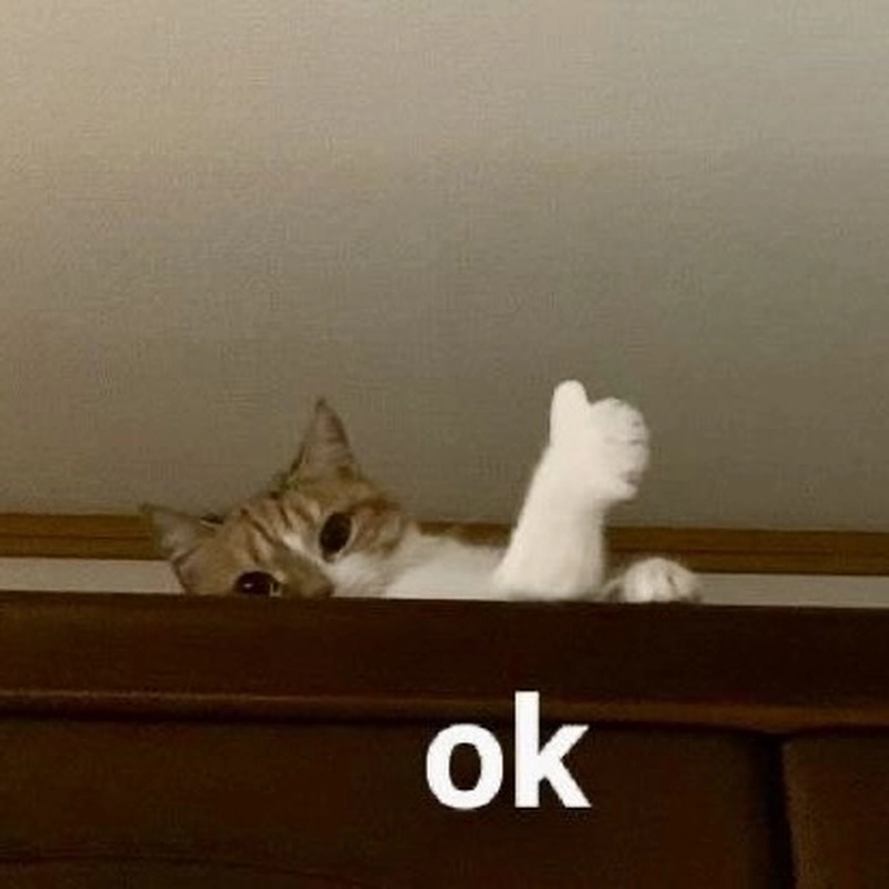 Hình meme OK mang cảm giác chấp nhận hài hước